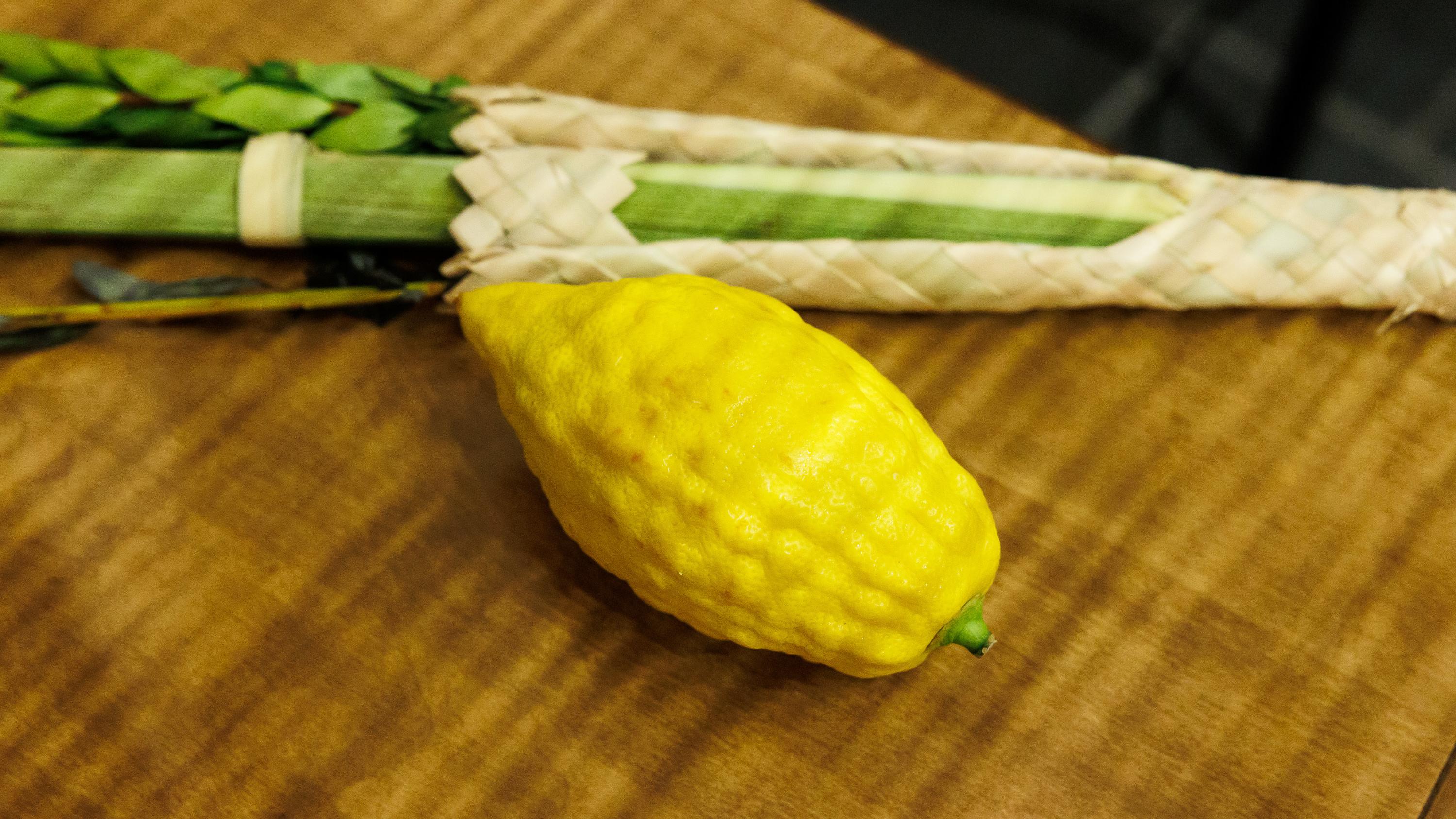 High Holy Days 101: Sukkot and Simchat Torah